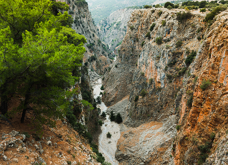 Αράδαινας