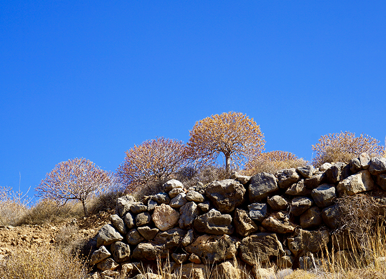 zakros gorge